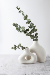 Natural dried green eucalyptus plant twigs in modern donut shape vases against white wall on grunge stone table.