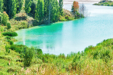 Lake with Turquoise Water Surrounded by Trees and Bushes