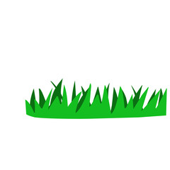 abstract green grass