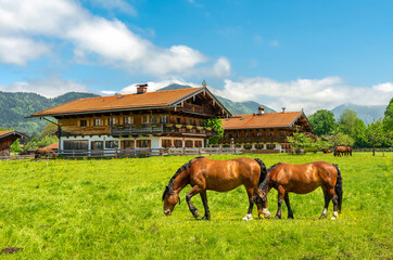 Bavarian village. Traditional Bavarian wooden house, meadow and grazing horses