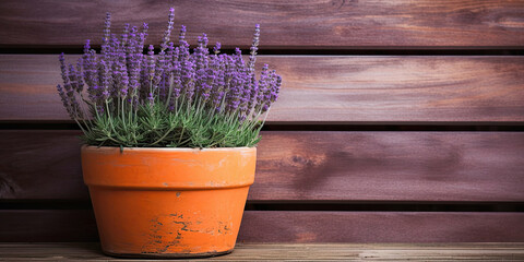 Lavender in a pot on wooden wall background, Generative AI