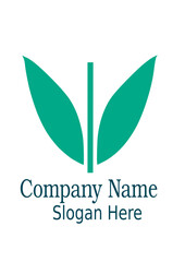 eco friendly logo, leaf logo 