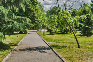 City park alley in sunny summer day