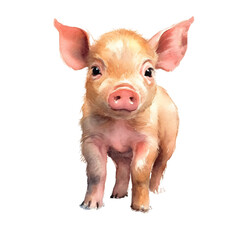 cute baby pig in watercolor design isolated against transparent background