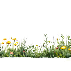 line of grass with yellow flowers like dandelion in watercolor design isolated against transparent