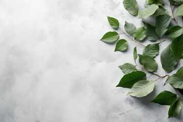 Green leaves on a gray background Generative AI - obrazy, fototapety, plakaty