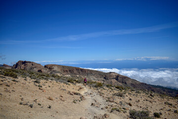 Fototapeta na wymiar Tenerife, Canary, Canary Islands, Teide