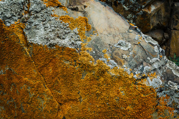 Natural background of rough mountain rock with orange lichen