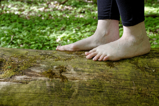 Woman is walking barefoot on huge log tree trunk in forest area. Nature connection concept.