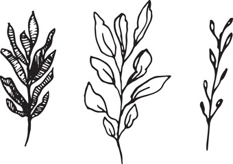 Minimalism vector branches. Graphic leaves for tattoos, invitations. black and white leaves. Set line art. Vector illustration of autumn leaves.