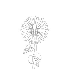 Sunflower Coloring Page For Adults