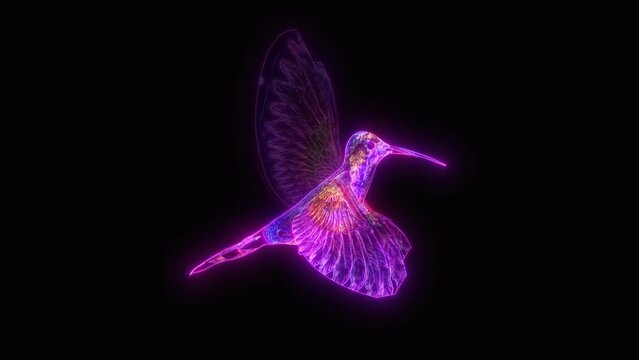 Hummingbird flying loop with alpha channel