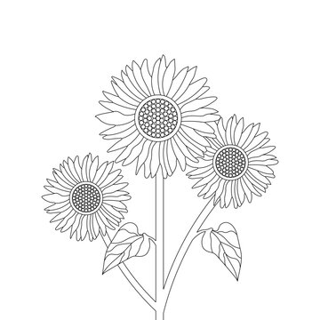 Sunflower Plant Coloring page Outline zentangle Hand Drawn