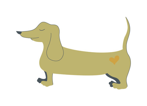 Dachshund dog cute silhouette vector illustration. Dog silhouette isolated on white background