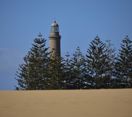 Lighthouse of Maspalomas between trees and blue sky, south of Gran Canaria, Canary Islands