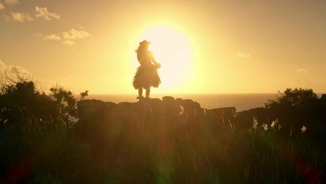 Silhouette Of Hula Dancer