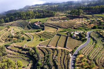 Papier Peint photo les îles Canaries Aerial view above vineyards in La Palma, Canary Islands, Spain