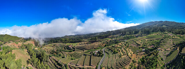 Aerial view above vineyards in La Palma, Canary Islands, Spain