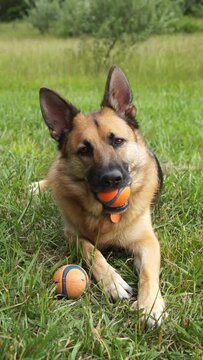 GSD With Balls