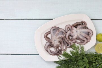 Two small octopuses on a plate, seafood, background, background image, for presentations