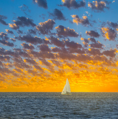 sail yacht in a sea at the sunset