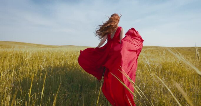 Caucasian ginger woman in long red dress running through fields trying to get away from routine and worries. Woman ignores sadness fears and worries and enjoys beauty of nature. Rear view, slow motion
