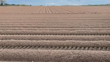 Ploughed fields with and without crops