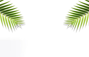 Palm leaves with shadow and light on white background, Generative Ai.
