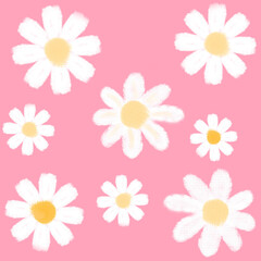 Flowers background, daisy flower, daisy background, cute background, nature background 