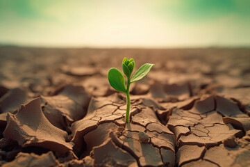 Save the Green Planet: Fresh Sprout Emerging from Dry Soil