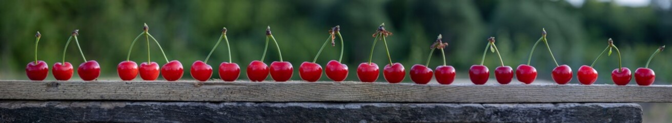 A large panorama of cherries on a board.