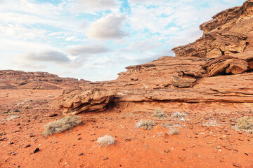 Red orange sandstone rocks formations with small shrubs growing at foreground in Wadi Rum (also known as Valley of the Moon) desert, Jordan