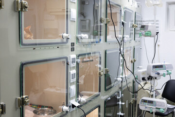 Cages for animals in a stationary veterinary clinic. Hospital cages for the treatment of sick pets in a veterinary clinic. The concept of treating pets in a veterinary hospital.