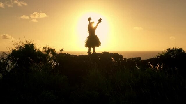 Epic Silhouette Of Hula Dancer