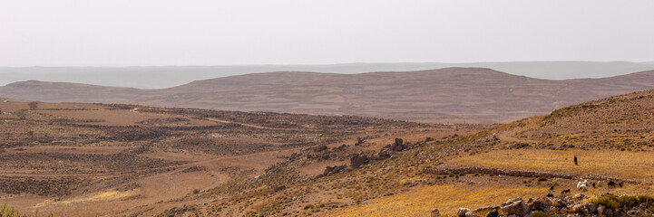 Shepherd with his sheep in a landscape at King's Highway in Jordan. The King’s Highway was a trade route of vital importance in the ancient Near East, connecting Africa with Mesopotamia.