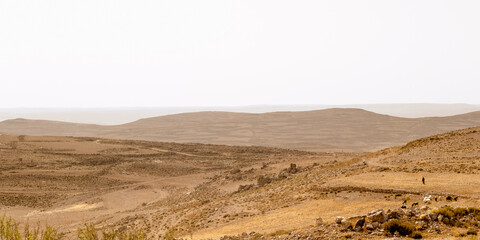 Shepherd with his sheep in a landscape at King's Highway in Jordan. The King’s Highway was a trade route of vital importance in the ancient Near East, connecting Africa with Mesopotamia.