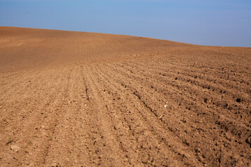 Rural landscape. Row plowed field, sown with cereals or prepared for planting, brown earth, clay or...