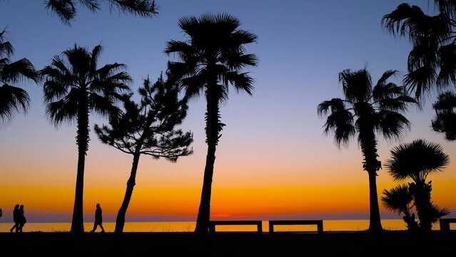 Silhouettes of palm trees on the embankment of the resort town after sunset. People are walking along the waterfront against clear evening sky. Vacation, summer and tropical concept