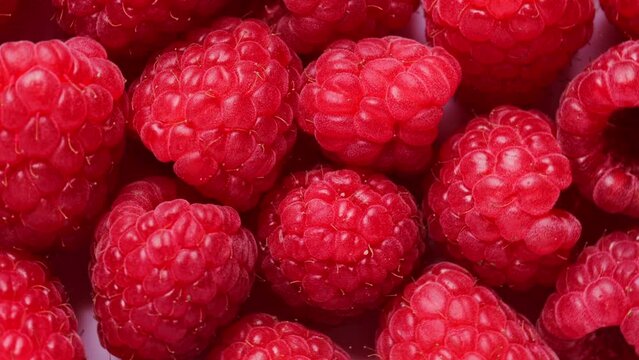 fresh raspberry, rotation in circle. baby red berry, Turning. selective focus. fruit and berry season