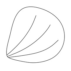 Yellow cockle or scallop sea shell, doodle style vector outline illustration for kids coloring book