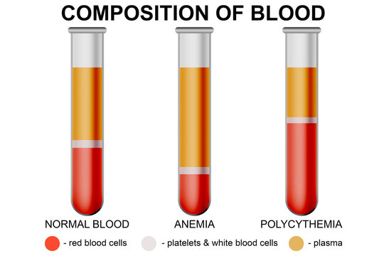 Composition of blood concept isolated on white background