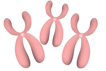 Chromosome icon isolated on white background