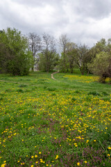 Spring flowers at South Park in city of Sofia, Bulgaria