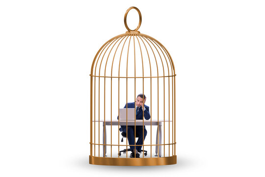 Businessman caught in the cage