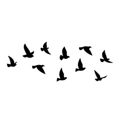 Obraz na płótnie Canvas Flying bird silhouette. Vector illustration. a flock of flying birds. tattoo design