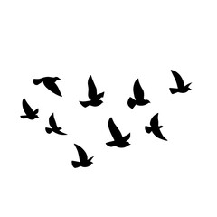 Plakat Flying bird silhouette. Vector illustration. a flock of flying birds. tattoo design