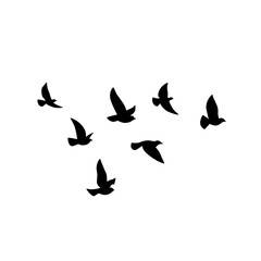 Flying bird silhouette. Vector illustration. a flock of flying birds. tattoo design