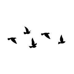 Flying bird silhouette. Vector illustration. a flock of flying birds. tattoo design