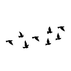 Fototapeta na wymiar Flying bird silhouette. Vector illustration. a flock of flying birds. tattoo design
