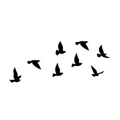 Fototapeta na wymiar Flying bird silhouette. Vector illustration. a flock of flying birds. tattoo design